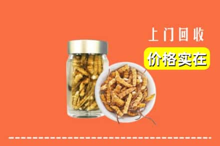 收购资讯:安康旬阳县回收散虫草