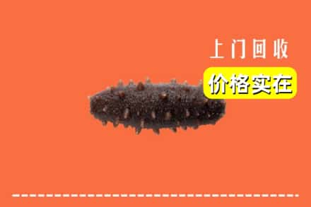 收购资讯:安康旬阳县回收海参