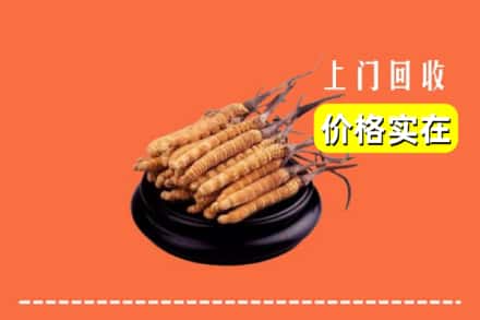 安康旬阳县回收冬虫夏草