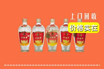 安康旬阳县回收老五粮液
